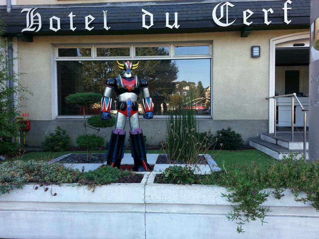 Contact Hotel Du Cerf Шато-Гонтье Экстерьер фото